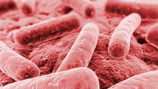 Bacterial infections that resist antibiotics are being tackled with an arcane therapy.