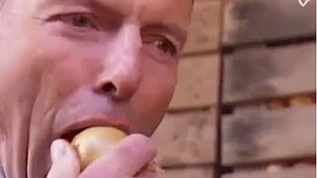 Tony Abbott gives Bill Shorten ammunition for his April Fool's joke.
