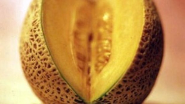 10 people have contracted listeria after eating Rockmelon 