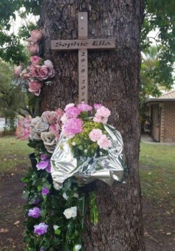 Sarah and Peter Milosevic have been campaigning for Sophie's Law.