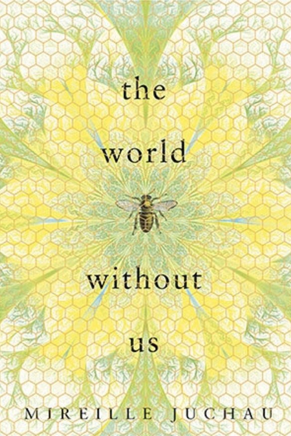 <i>The World Without Us</i>, by Mireille Juchau.