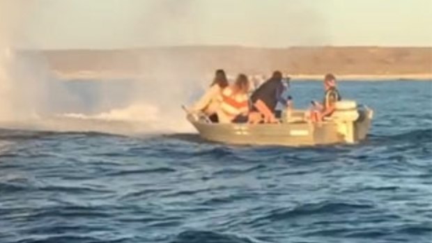 Tourists were screaming after the whale breached right beside them.