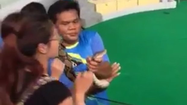 The tourist required stitches after the python bit her on the nose during a snake show. 