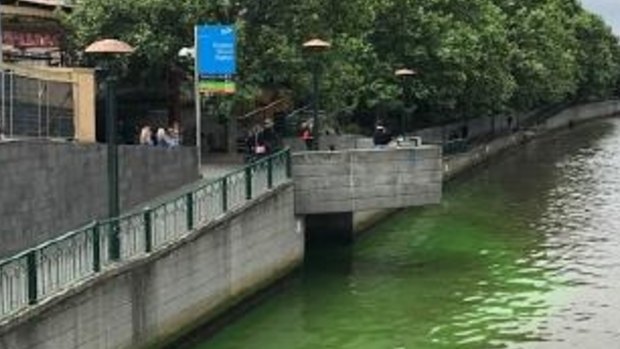 The Environmental Protection Authority is investigating after mysterious green sludge leaked into the Yarra River. 