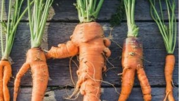 Home-grown carrots may not look as perfect as their supermarket counterparts but their taste is far superior.