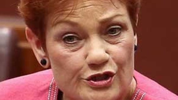 Pauline Hanson is risking sensible debate about how to raise immunisation levels. 