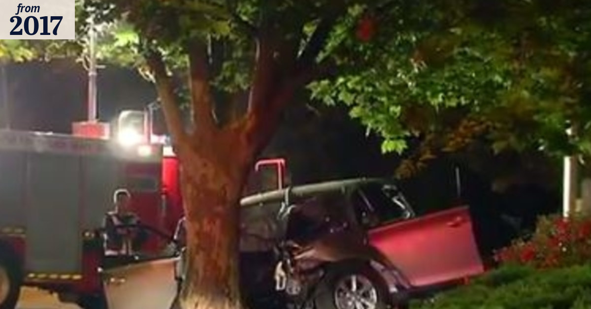 Teen driver dies after car slams into tree in Malvern East