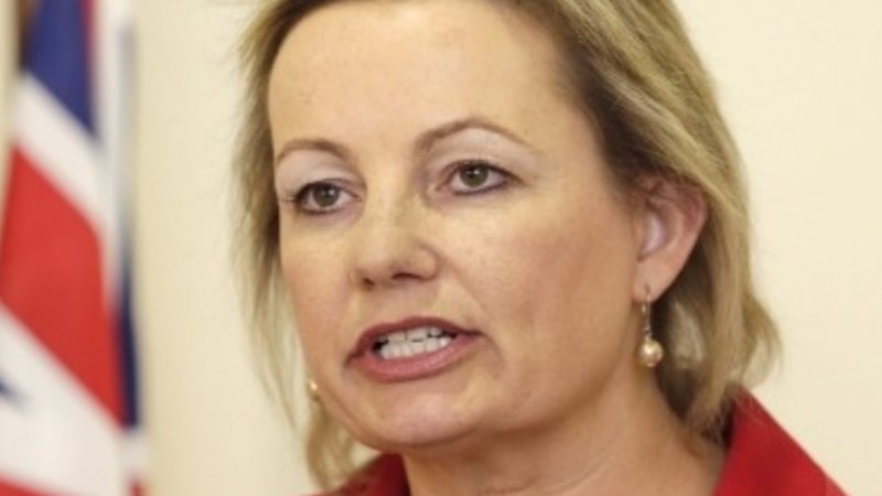 Health Minister Sussan Ley accuses Victoria of hospital ...