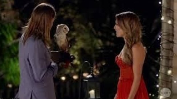 Queenslander Drew with his owl  - not a Uni-Norths' owl unfortunately - meeting The Bachelorette Sam Frost