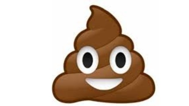 The smiling pile of poo emoji shows that certain people can laugh at No. 2s. But would you want to receive one as a Christmas gift? 