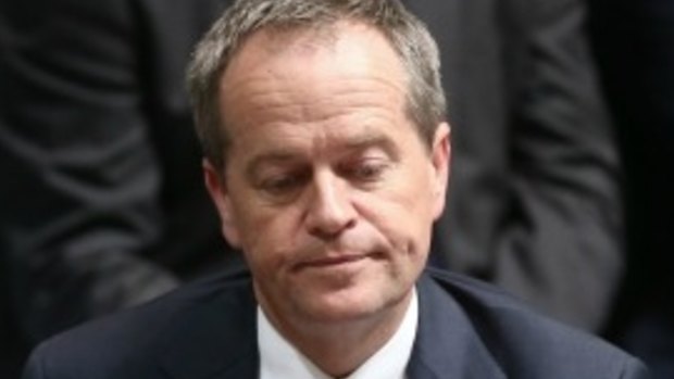 Bill Shorten reports himself to police for using mobile phone while driving