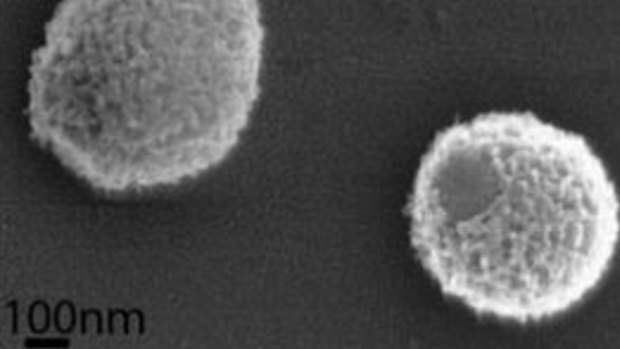 Scanning electron microscopy of two isolated Mollivirus particles.
