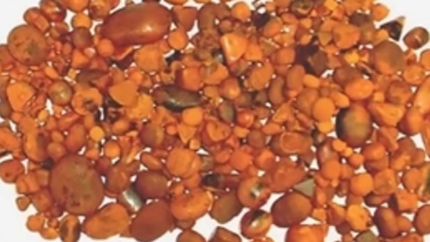 Police uncovered stolen gallstones at a Toowoomba property.
