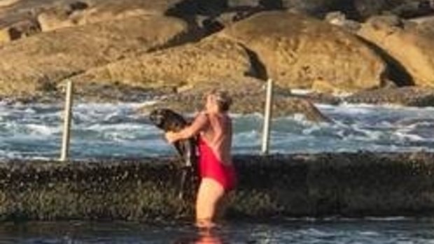 Melissa Hatheier throws the shark out of the Oak Park rock pool. 