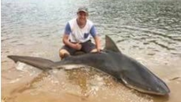 The shark caught in the Georges River.