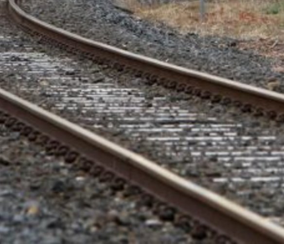 Better buses proposed in Rowville rail line report