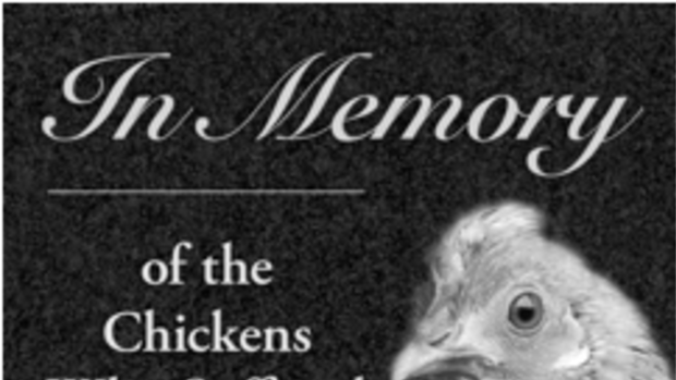 The tombstone animal rights group PETA wants installed next to a KFC where crates of chickens fell off a truck.