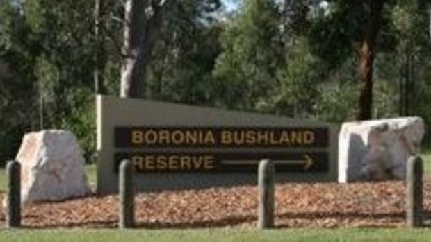 Boronia Bushland Reserve in Logan
