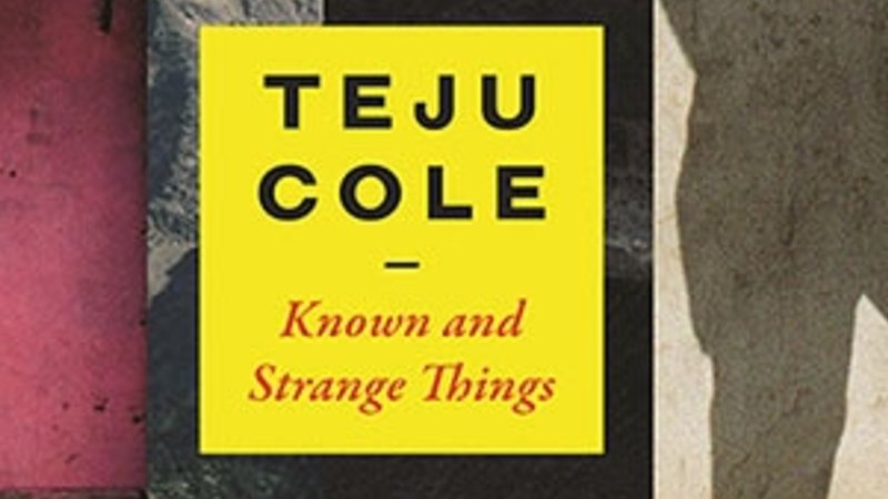 Known And Strange Things Review Teju Cole S Finely Observed