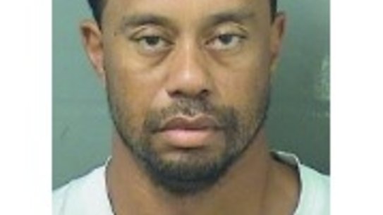 Tiger Woods' mugshot after being arrested on a DUI charge.