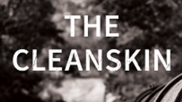 The Cleanskin, by Laura Bloom.