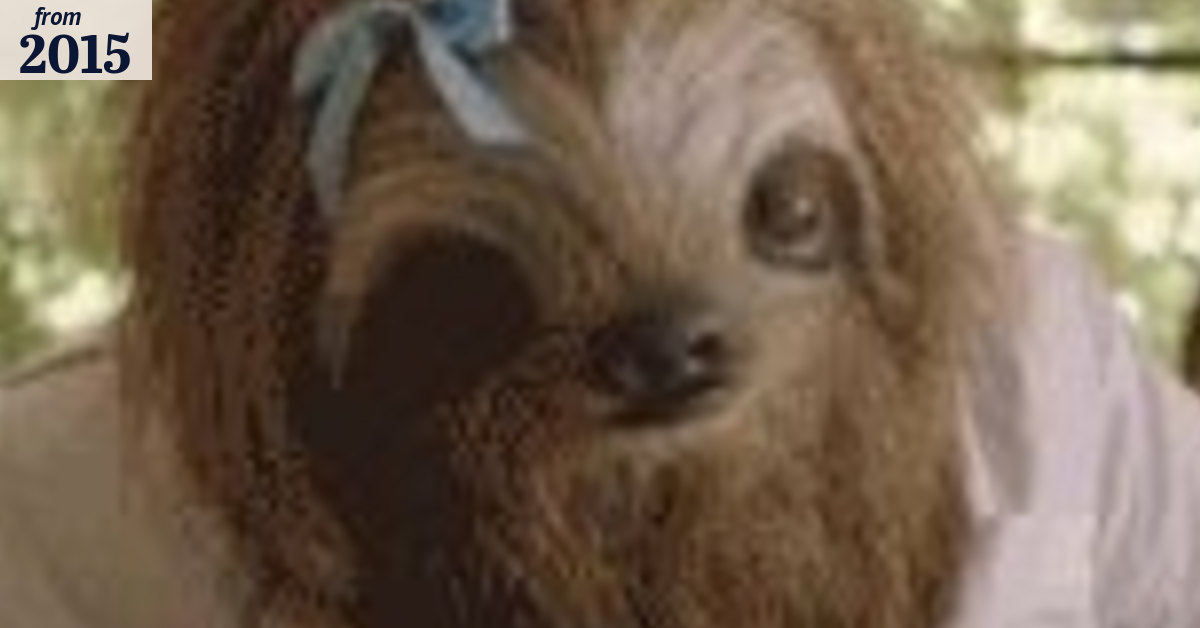 'Stoner Sloth' anti-marijuana campaign: Take our name off it, says ...