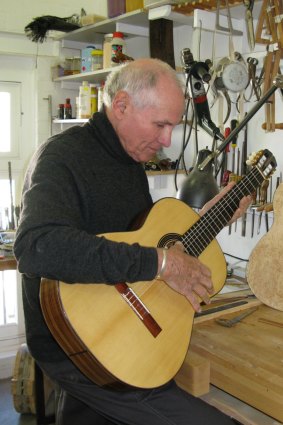 John wakelin guitar hot sale