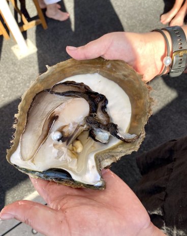 Giant oyster clearance