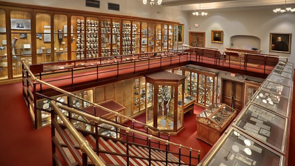 Mutter Museum　Historic Medical Body of work: Einstein's brain and other medical history at