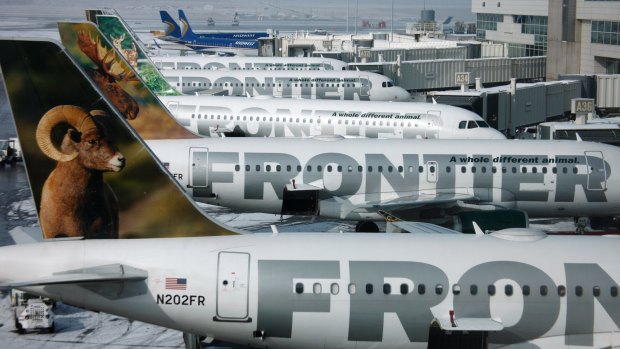Frontier airlines emotional support dog sales