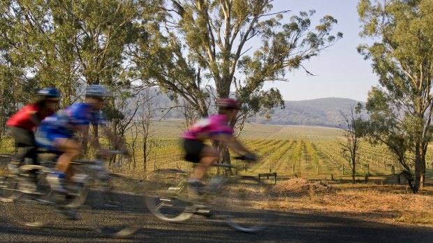 Best cycling trips online