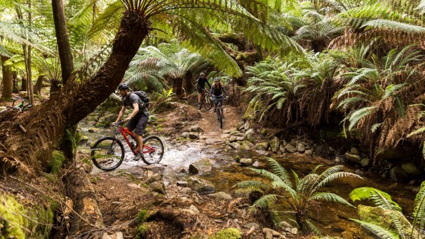 Derby mountain on sale bike trail