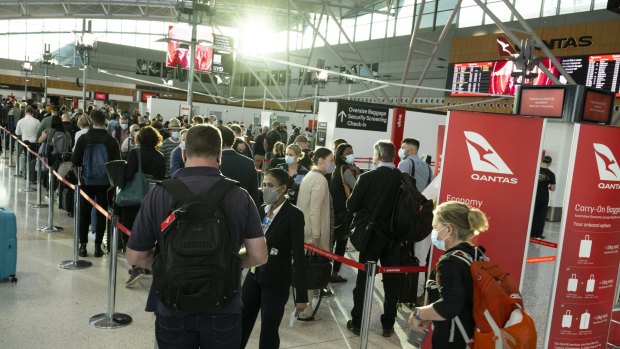 Qantas damaged luggage new arrivals