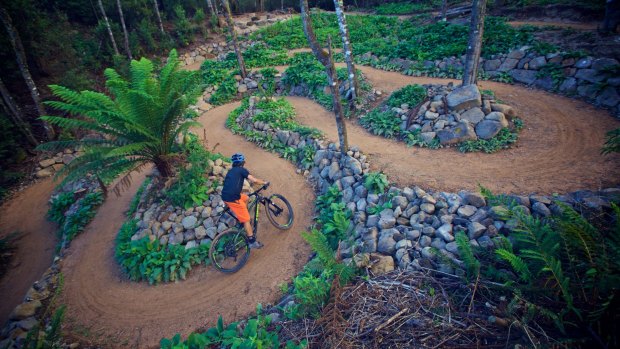 Derby Tasmania Where you ll find the finest mountain bike trails in Australia