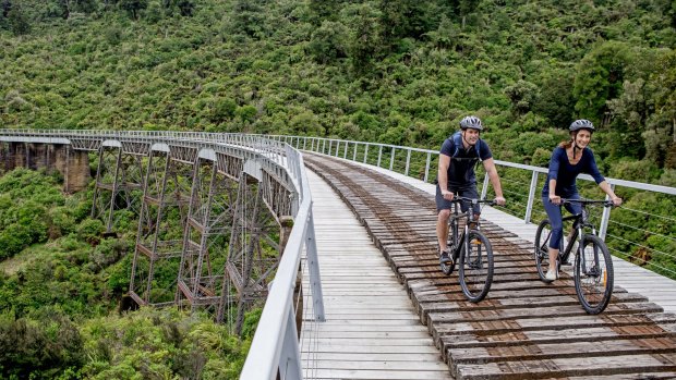 Pacific timber hotsell mountain bike