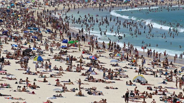Coastalwatch bondi sales
