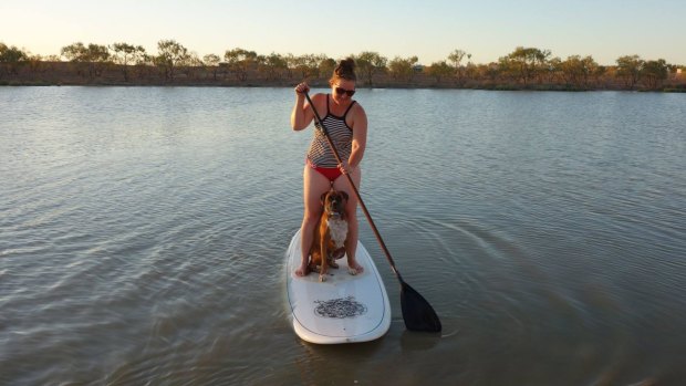 Billabong clearance paddle board