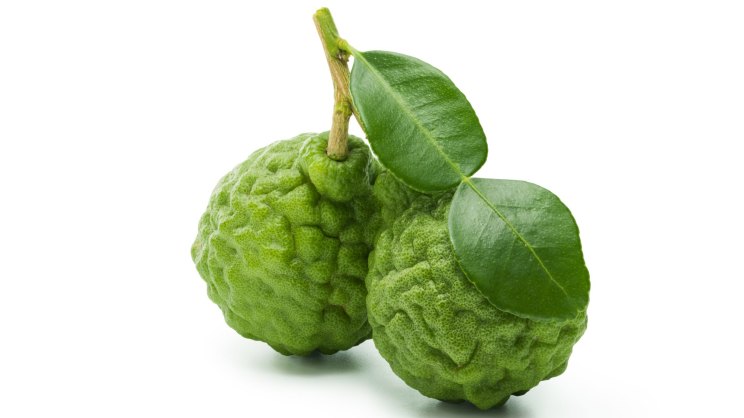 Kaffir lime top