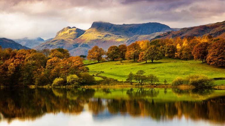 Natural landscape best sale