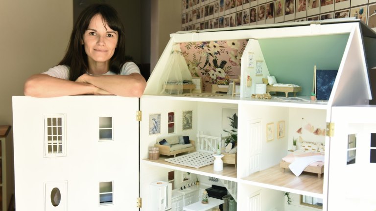 Dollhouse for sale grown ups