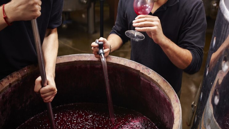Wine making shop