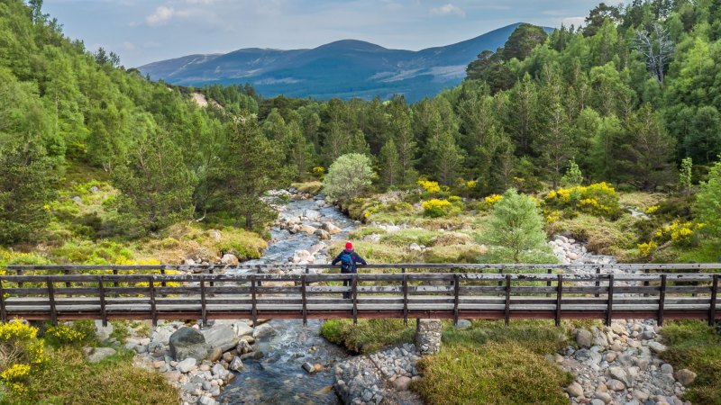 Cairngorms national park top best hikes