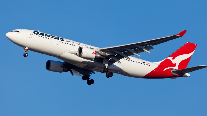 Royal jordanian crash history online