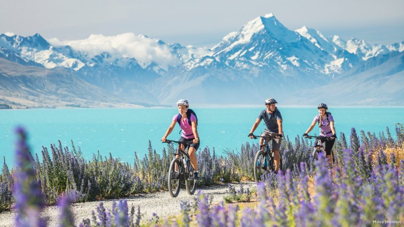 Alps 2 ocean cycle trail clearance