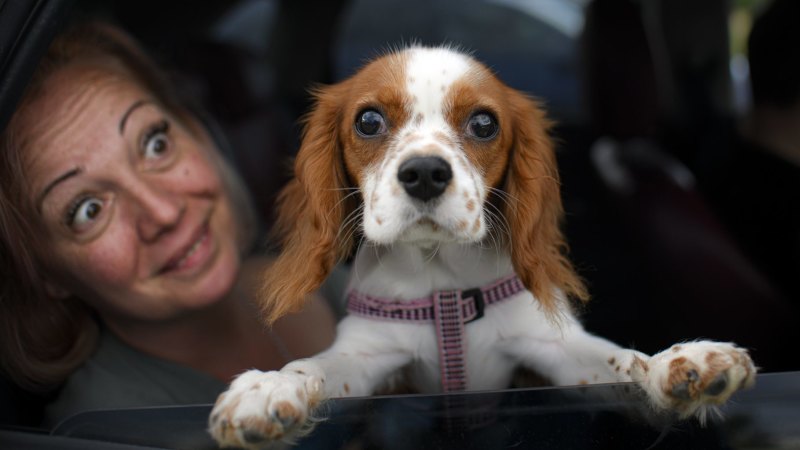 Gallery: The best photos from around the world