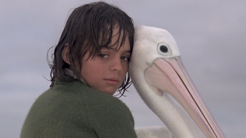 Why the original Storm Boy movie was a 'life-shaping moment'