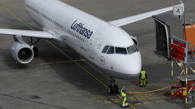 Lufthansa cat transport hotsell