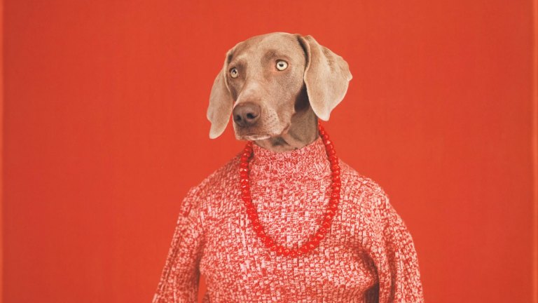 William wegman discount fay ray