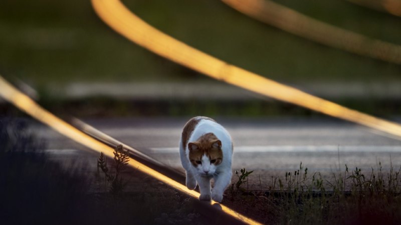 The best of the world in pictures