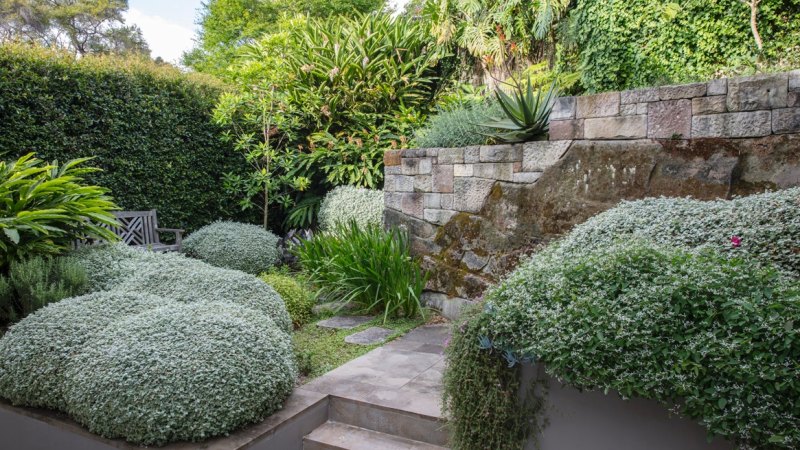 Spirit hotsell level gardens